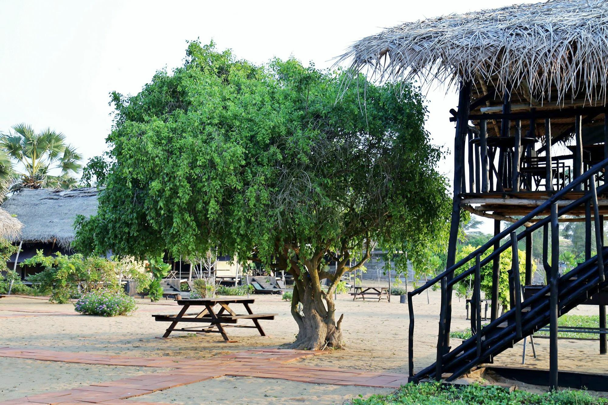 The Beach Camp Yala Kirinda  Extérieur photo